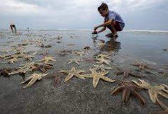 Boy with starfish