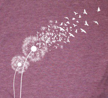 Dandelion dispersing seed